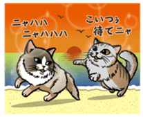 Cats of world sticker #246990
