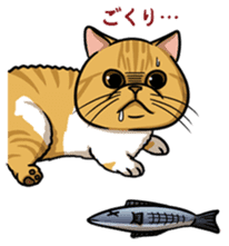 Cats of world sticker #246991