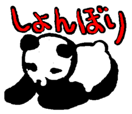 Panda of life sticker #913203