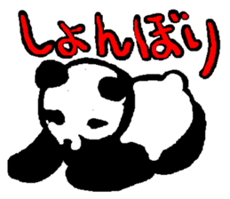 Panda of life sticker #913203
