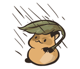 TanuKochi sticker #944827