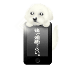 Happiness of the Maltese dog sticker #1832403