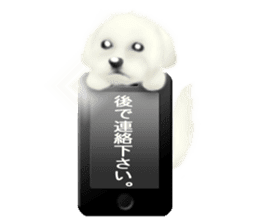 Happiness of the Maltese dog sticker #1832403