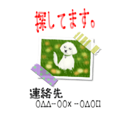 Happiness of the Maltese dog sticker #1832405