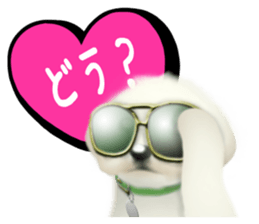 Happiness of the Maltese dog sticker #1832417