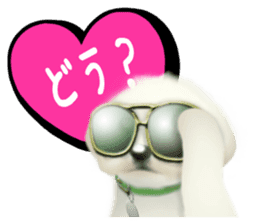 Happiness of the Maltese dog sticker #1832417