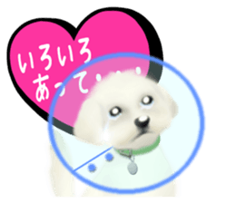 Happiness of the Maltese dog sticker #1832423