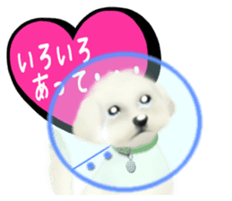 Happiness of the Maltese dog sticker #1832423