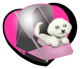Happiness of the Maltese dog sticker #1832430