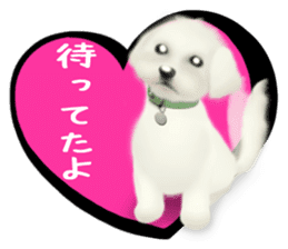 Happiness of the Maltese dog sticker #1832431