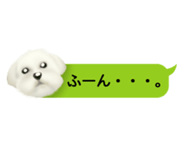 Happiness of the Maltese dog sticker #1832439