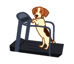 cute beagle dogs sticker #1858692