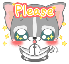 Give me Squipy-Husky sticker #3166789
