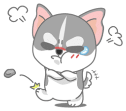 Give me Squipy-Husky sticker #3166807