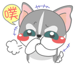 Give me Squipy-Husky sticker #3166811