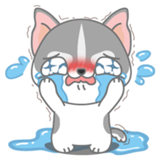 Give me Squipy-Husky sticker #3166824