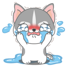 Give me Squipy-Husky sticker #3166824