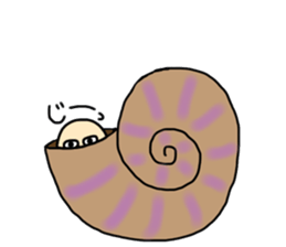 ammonite boy sticker #3544696