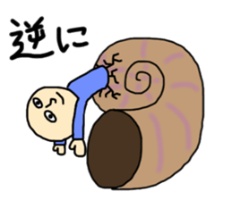 ammonite boy sticker #3544699