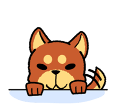 A mischievous little dog! (Shiba Inu) sticker #3738090