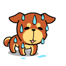 A mischievous little dog! (Shiba Inu) sticker #3738124