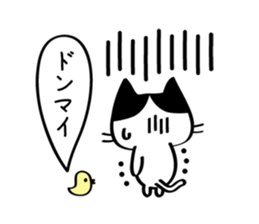 cats saying hello sticker #3766203