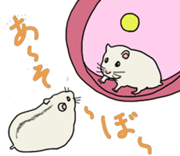 Pretty twin hammy sticker #4544870