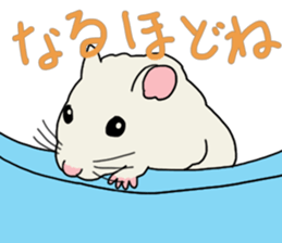 Pretty twin hammy sticker #4544884