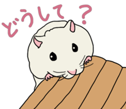 Pretty twin hammy sticker #4544888