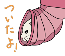 Pretty twin hammy sticker #4544889