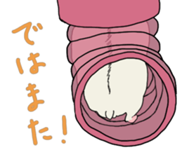 Pretty twin hammy sticker #4544890