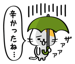 comfort cat. sticker #5291102