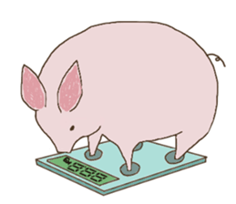 Little Pig,Lovely sticker #5362208