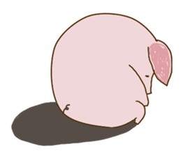 Little Pig,Lovely sticker #5362220