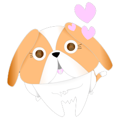 Nong Party Hiso Laanna(Shih-Tzu)