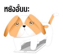 Nong Party Hiso Laanna(Shih-Tzu) sticker #5603486