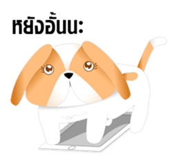 Nong Party Hiso Laanna(Shih-Tzu) sticker #5603486