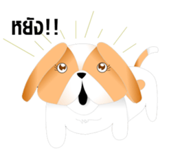 Nong Party Hiso Laanna(Shih-Tzu) sticker #5603492