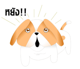 Nong Party Hiso Laanna(Shih-Tzu) sticker #5603492