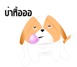 Nong Party Hiso Laanna(Shih-Tzu) sticker #5603496
