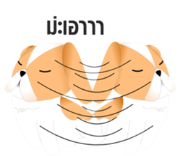 Nong Party Hiso Laanna(Shih-Tzu) sticker #5603501