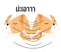 Nong Party Hiso Laanna(Shih-Tzu) sticker #5603501