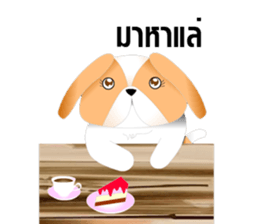 Nong Party Hiso Laanna(Shih-Tzu) sticker #5603506