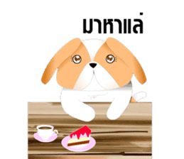 Nong Party Hiso Laanna(Shih-Tzu) sticker #5603506