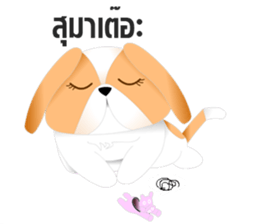 Nong Party Hiso Laanna(Shih-Tzu) sticker #5603507