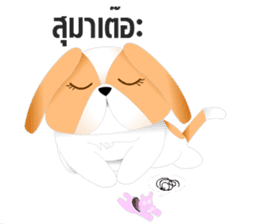 Nong Party Hiso Laanna(Shih-Tzu) sticker #5603507