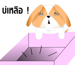 Nong Party Hiso Laanna(Shih-Tzu) sticker #5603514