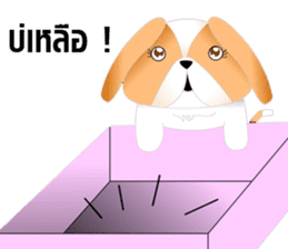 Nong Party Hiso Laanna(Shih-Tzu) sticker #5603514