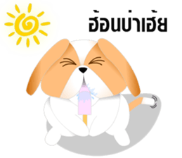 Nong Party Hiso Laanna(Shih-Tzu) sticker #5603516