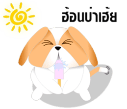 Nong Party Hiso Laanna(Shih-Tzu) sticker #5603516